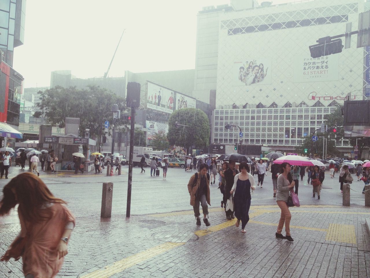 渋谷 (Shibuya)