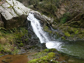 Scenic view of waterfall in forest