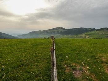 Scenic view of field against sky