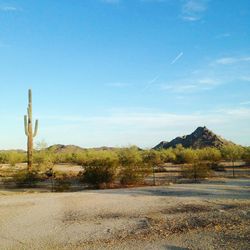 Scenic view of landscape against blue sky