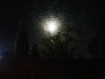 Low angle view of illuminated trees against sky