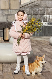 A toddler girl in a coat and fur headphones with a corgi dog in the park. holds a bouquet of mimosa