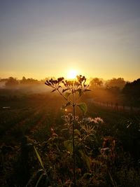 Scenic view of landscape against sky during sunset