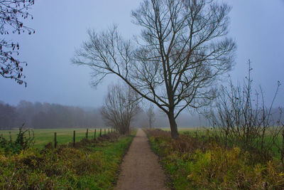 Bare trees on field against sky