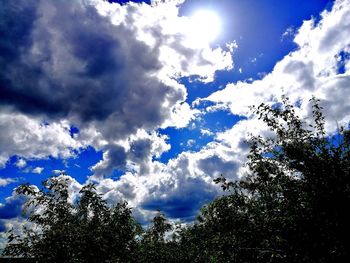 Low angle view of trees against blue sky