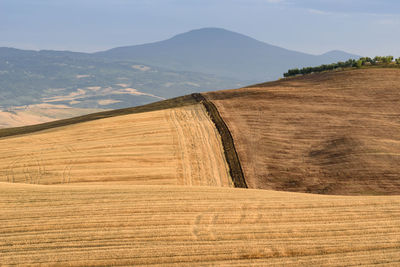 Scenic view of cultivated farm landscape