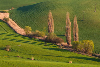 Detail of a rural landscape in turiec region, northern slovakia.