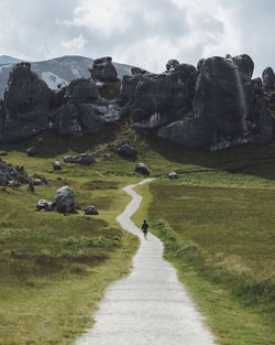 Rear view of man walking on footpath by grass against sky