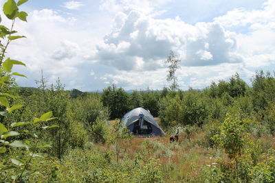 Tent in summer
