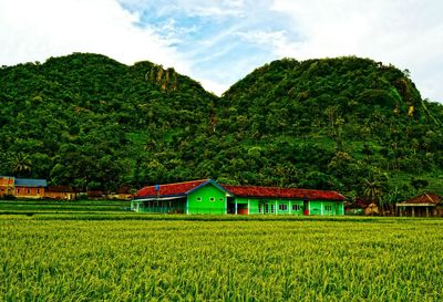 Scenic view of house and trees against sky