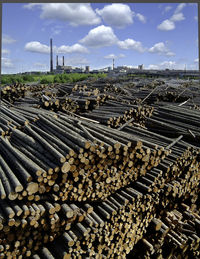 Stack of logs against sky