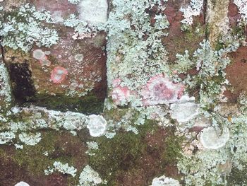 Close-up of weathered wall