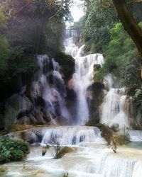 Scenic view of waterfall in forest