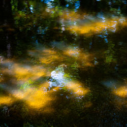 Full frame shot of lake