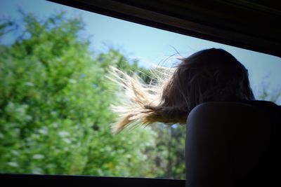 Rear view of young woman looking through window while traveling in train