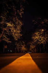 Illuminated road by trees in city at night