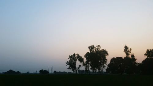 Silhouette trees on field against clear sky