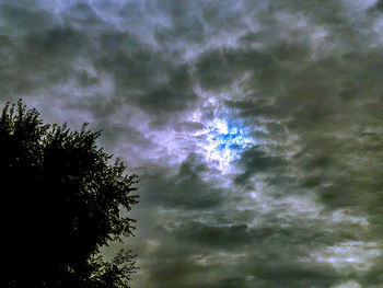 Low angle view of silhouette trees against sky