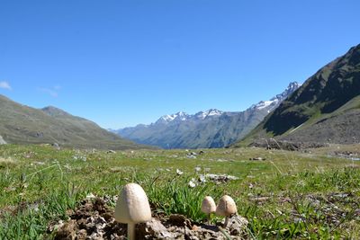 Scenic view of mountains against clear blue sky