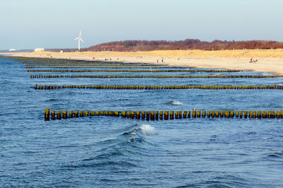 Wooden posts in baltic sea