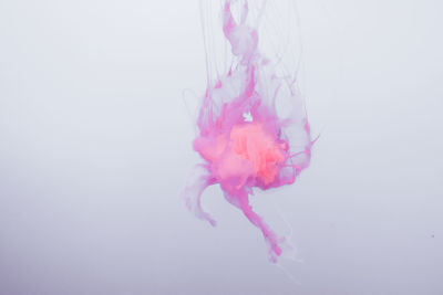 Colorful ink in water