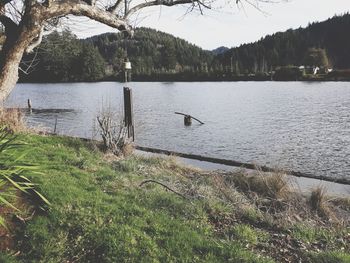 View of birds in lake