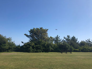 Trees on field against clear sky