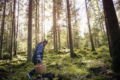 Rear view of man walking in forest