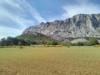 Scenic view of montagne sainte-victoire