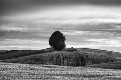 Hay bales on field against sky