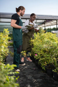 Diverse gardeners checking plants near greenhouse