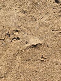 Close-up of sand