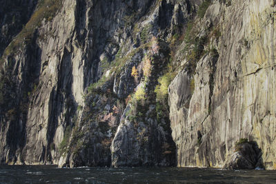 Scenic view of rocks in sea