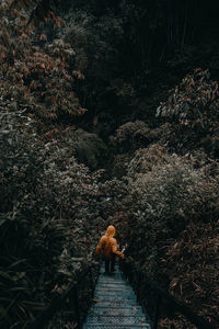 High angle view of man walking down on staircase amidst plants