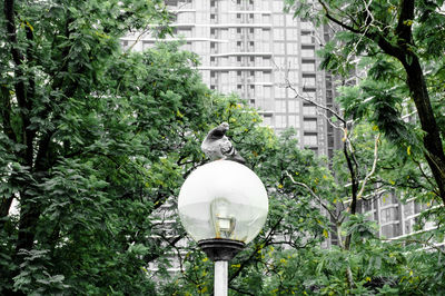 Bird perching on a building