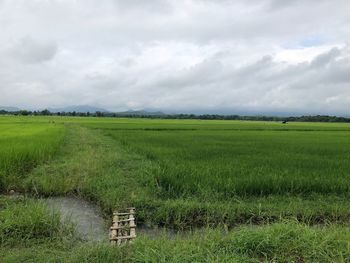 Scenic view of farm against sky