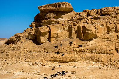 Low angle view of rock formation