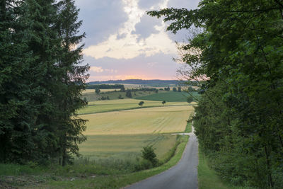 Road amidst agricultural field against sky