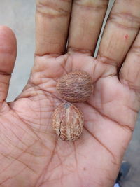 Close-up of person holding hand