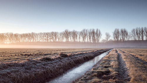 Frost covered landscape against sky