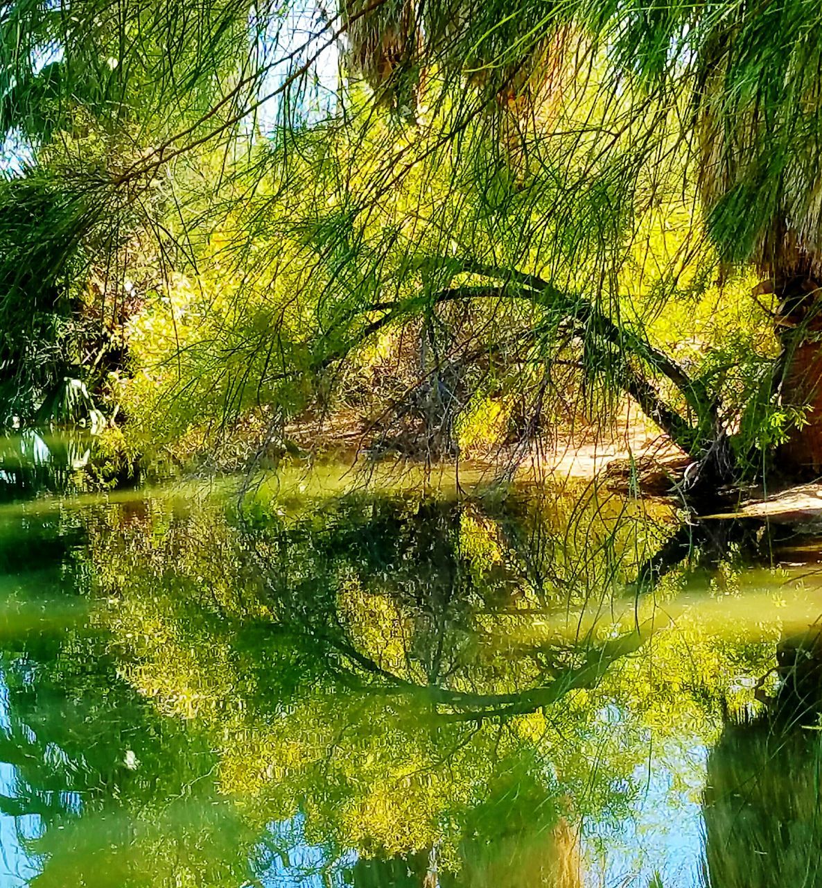 SCENIC VIEW OF CALM LAKE