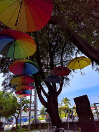 Low angle view of multi colored umbrellas hanging by tree against sky