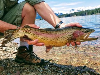 Midsection of man holding umbrella at shore