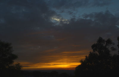 Low angle view of silhouette trees against sky during sunset