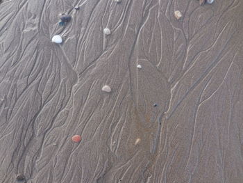 Full frame shot of a sand
