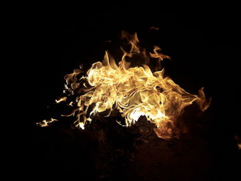 Close-up of bonfire against black background