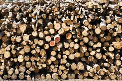 Full frame shot of logs in forest