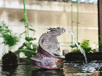 Close-up of statue on fountain