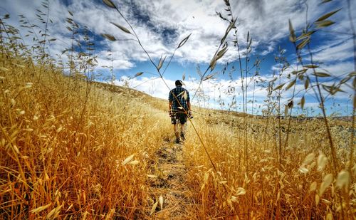 Rear view of man walking amidst grass on mountain