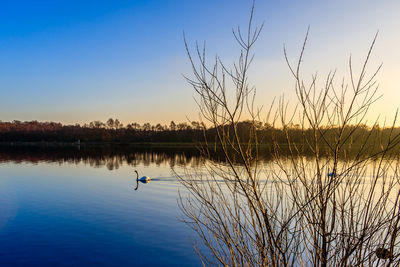 Scenic view of lake at sunset